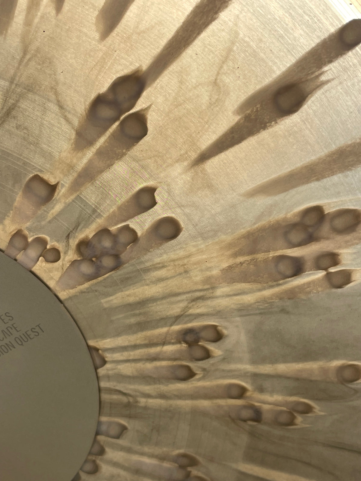 Minus the Bear - Planet of Ice (Distro)