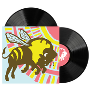 The Format: B-Sides & Rarities - Standard Edition 12" Black Double Vinyl (Distro Title)