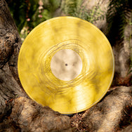 Banjo and Kazooie Vinyl Soundtrack 2xLP Reissue (Distro Title)