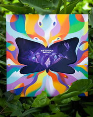 Butterfly In The Sky By The Octopus Project, Music From and Inspired By The Motion Picture(Ft. The Reading Rainbow Theme Song w/ Flaming Lips)  (Staff Pick)