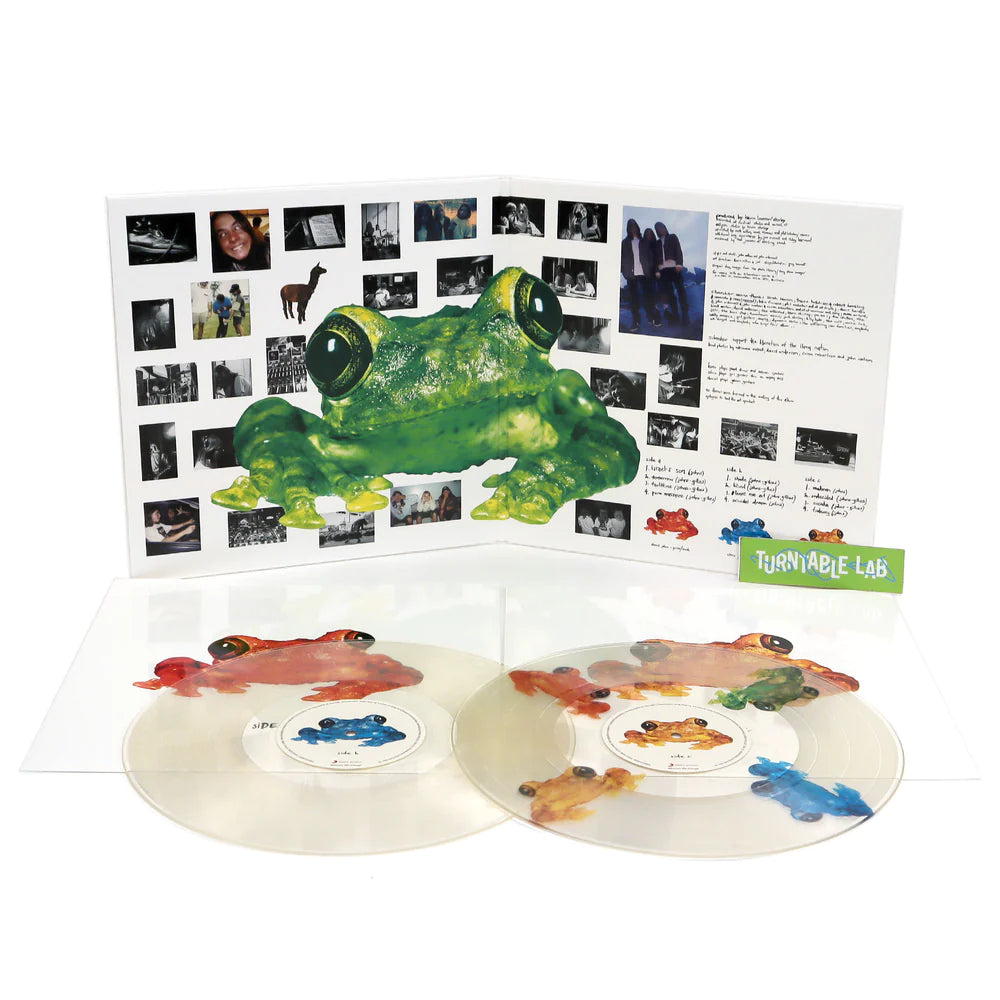 Silverchair- Frogstomp (Distro Title) | Enjoy The Ride Records
